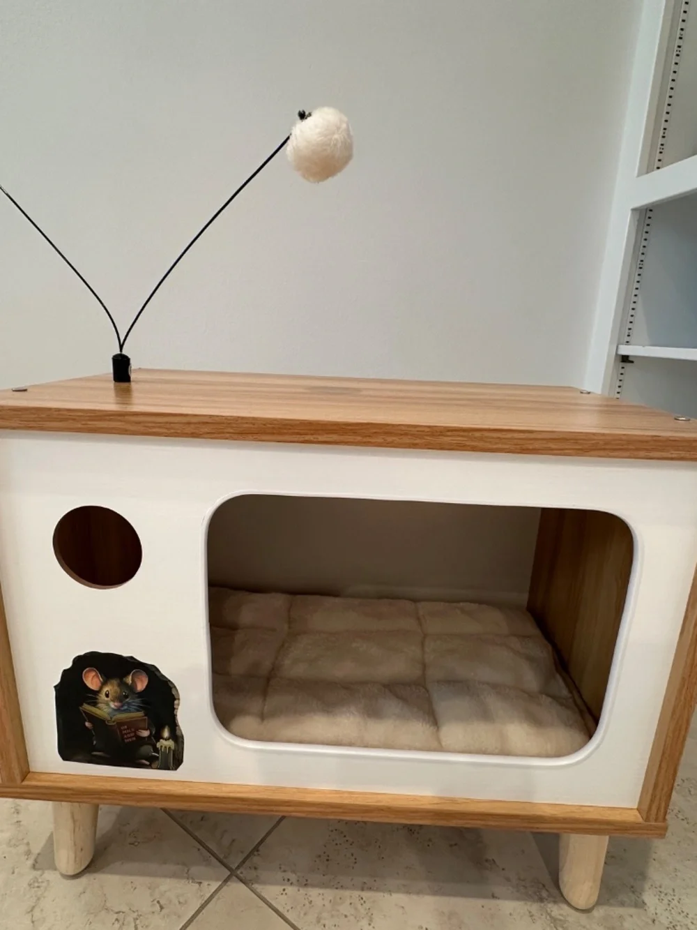 CAT CONDO/BED